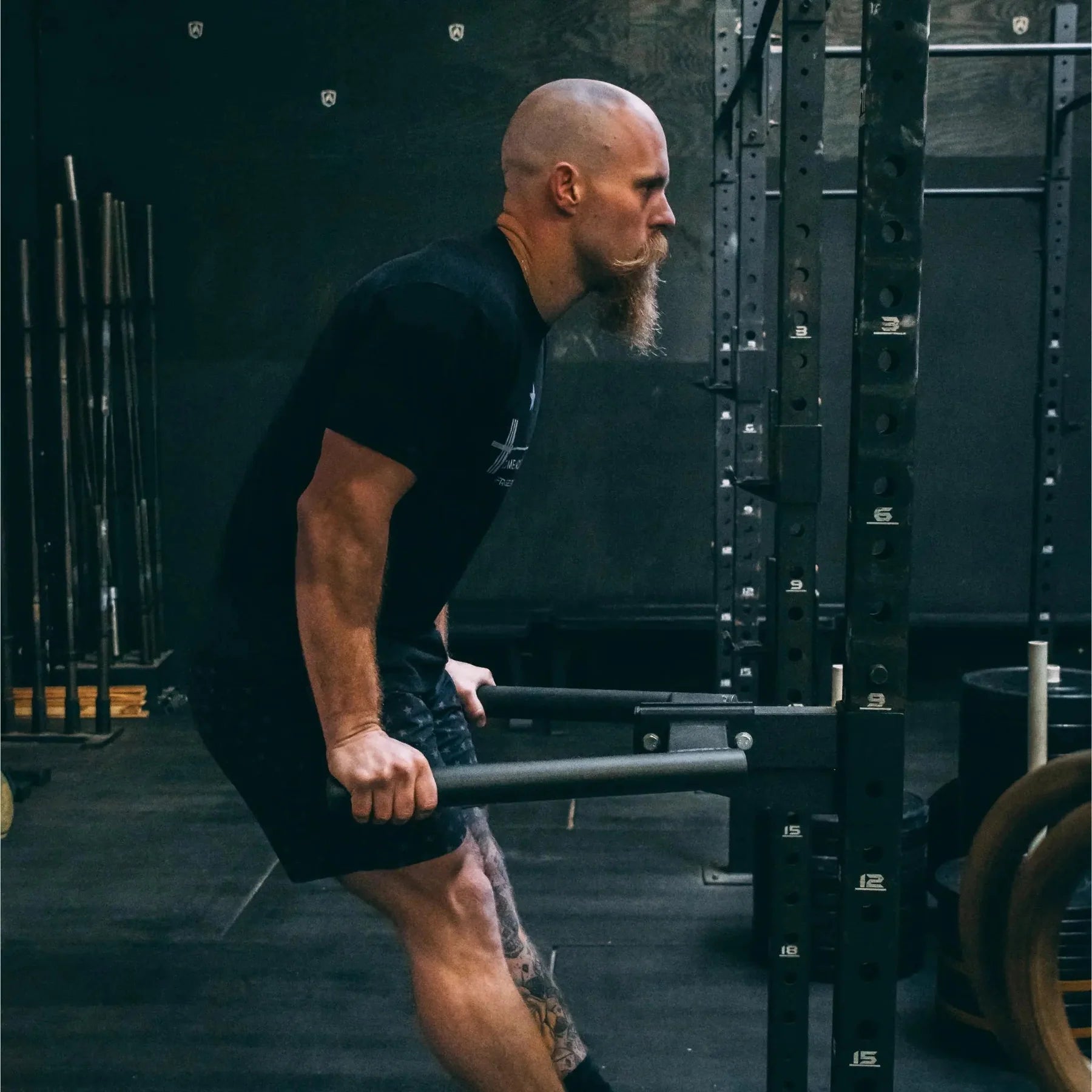 Fringe Sport 3x3 Dip Station V3 | Heavy - Duty Rack - Mounted Dip Attachment (600 lb Capacity) - Peak Performance Supply