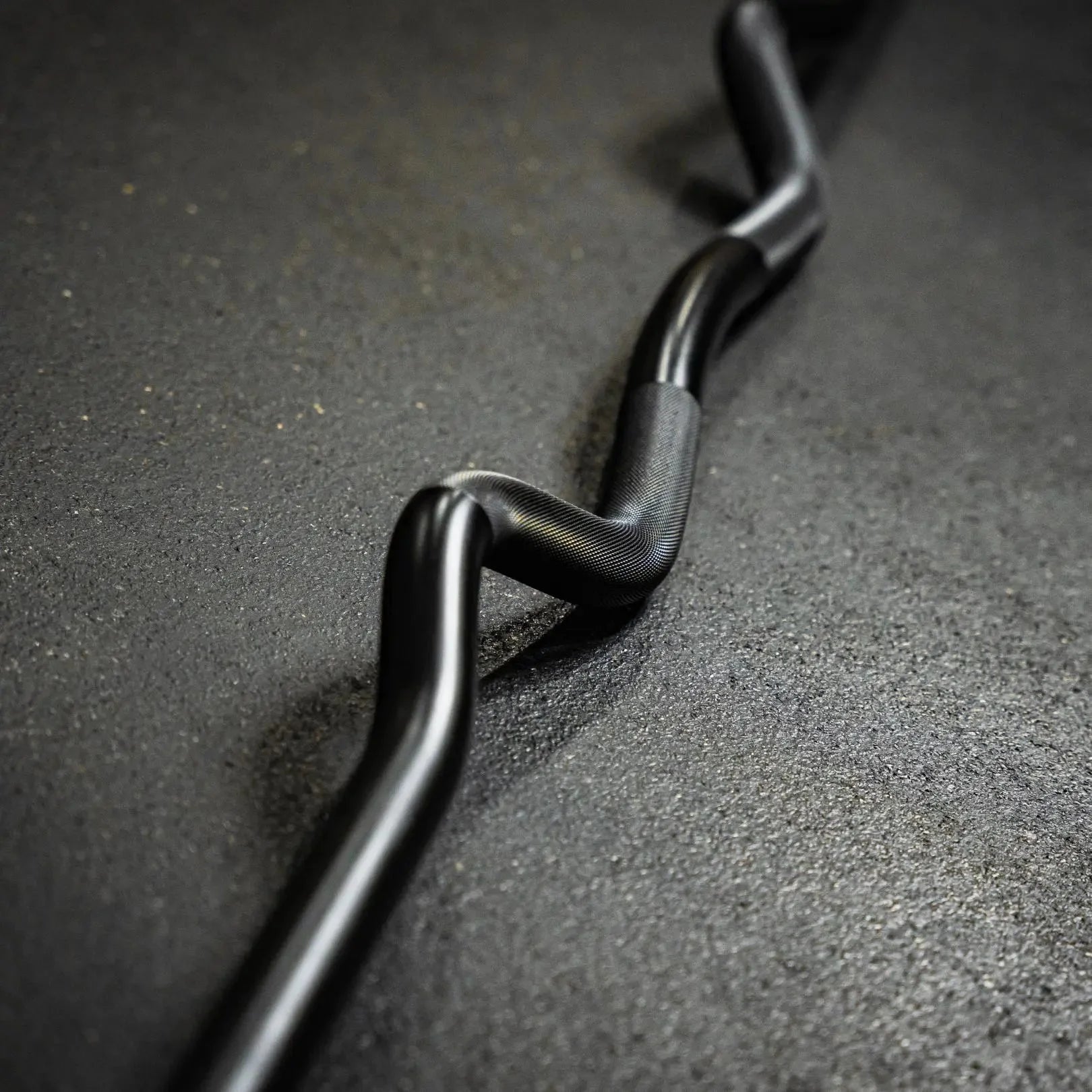 Fringe Sport Midas Revenge Rackable EZ Curl Bar – 15KG Premium Cerakote Curl Bar (Gold Titanium Collars)