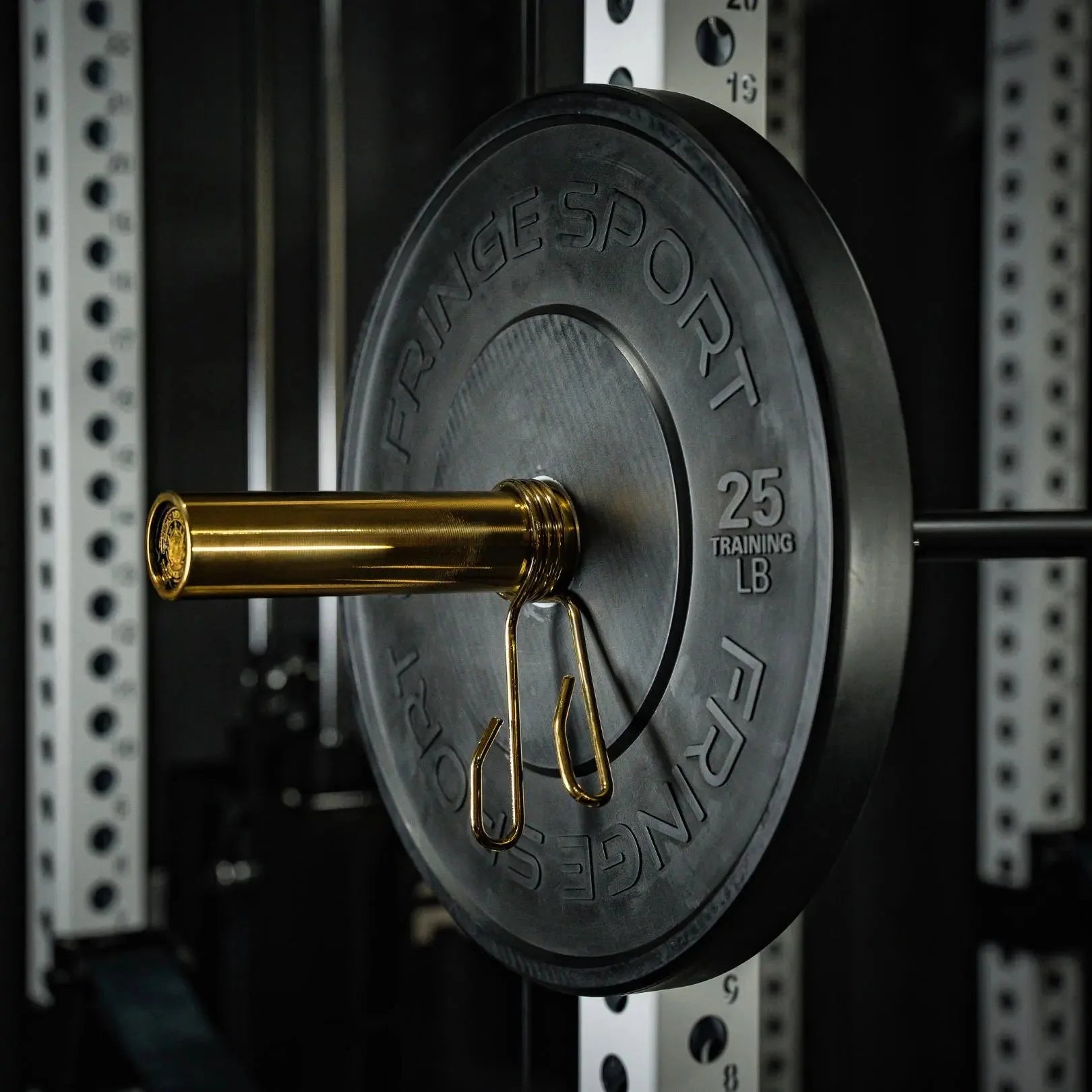 Fringe Sport Midas Revenge Rackable EZ Curl Bar – 15KG Premium Cerakote Curl Bar (Gold Titanium Collars)