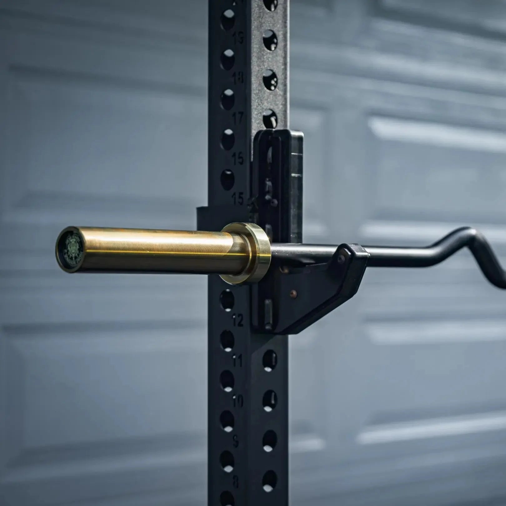 Fringe Sport Midas Revenge Rackable EZ Curl Bar – 15KG Premium Cerakote Curl Bar (Gold Titanium Collars)