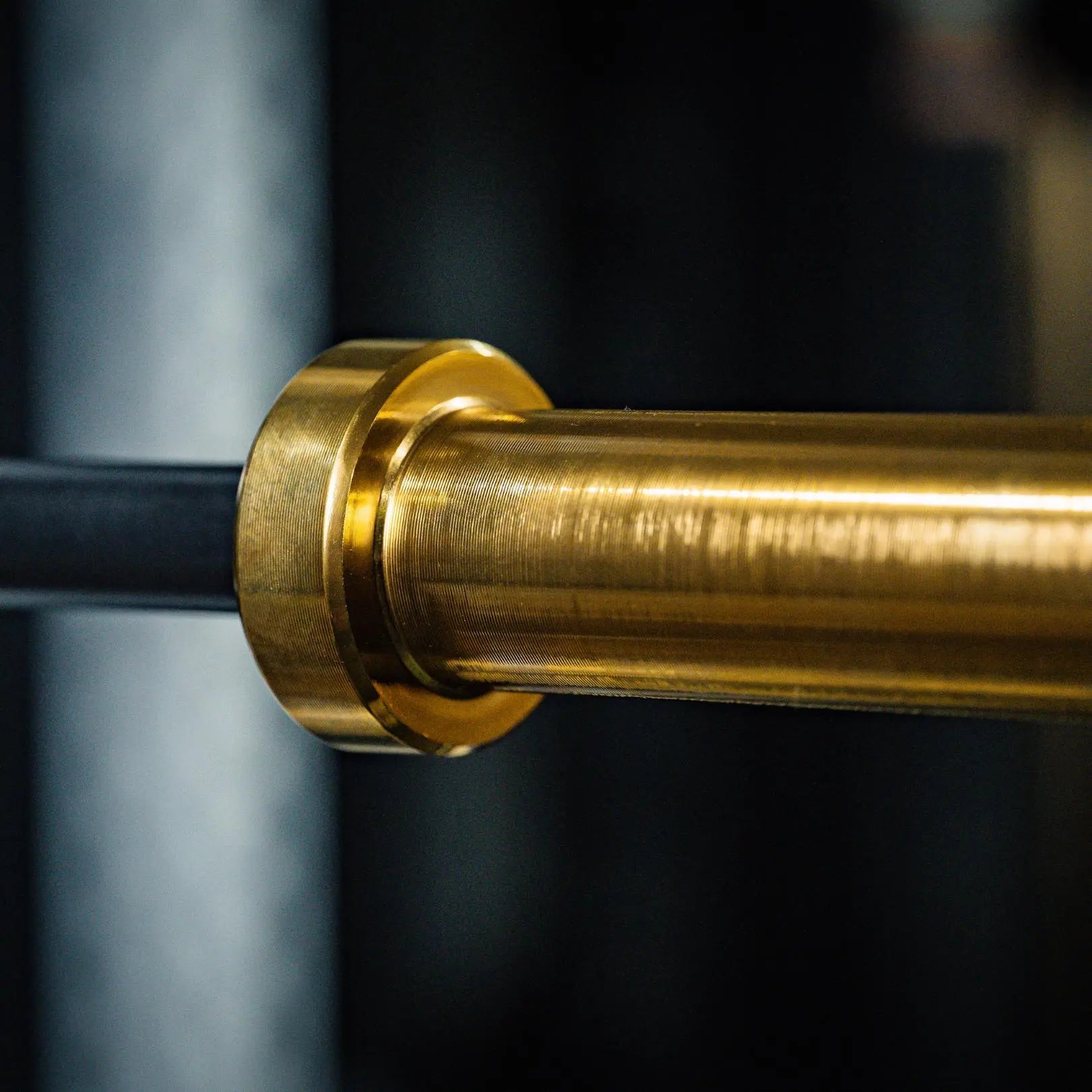 Fringe Sport Midas Revenge Rackable EZ Curl Bar – 15KG Premium Cerakote Curl Bar (Gold Titanium Collars)