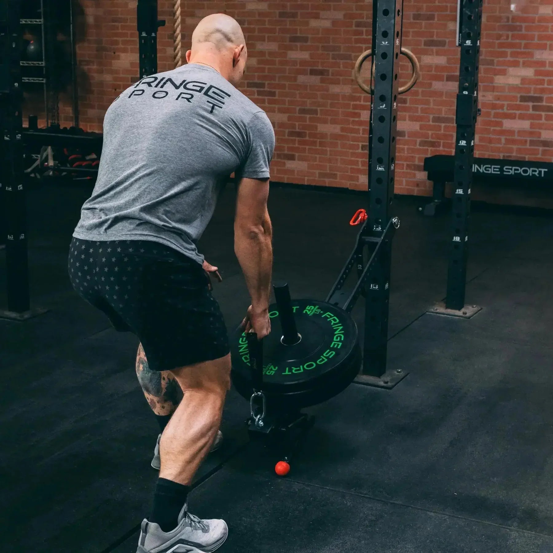 Fringe Sport Universal Belt Squat System | Mammoth Belt Squat Attachment (900 lb Capacity, Fits All Racks)