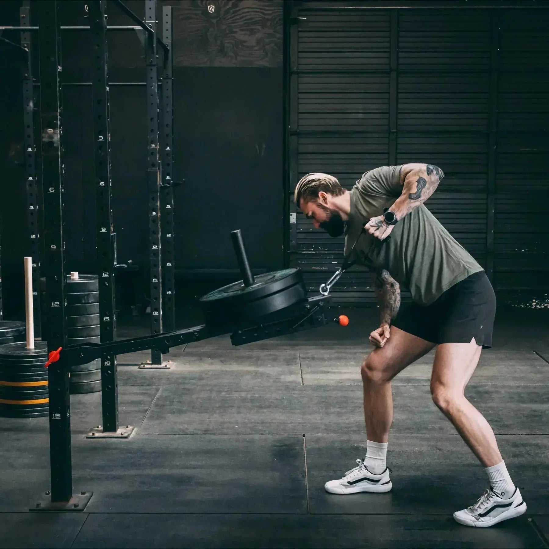 Fringe Sport Universal Belt Squat System | Mammoth Belt Squat Attachment (900 lb Capacity, Fits All Racks)