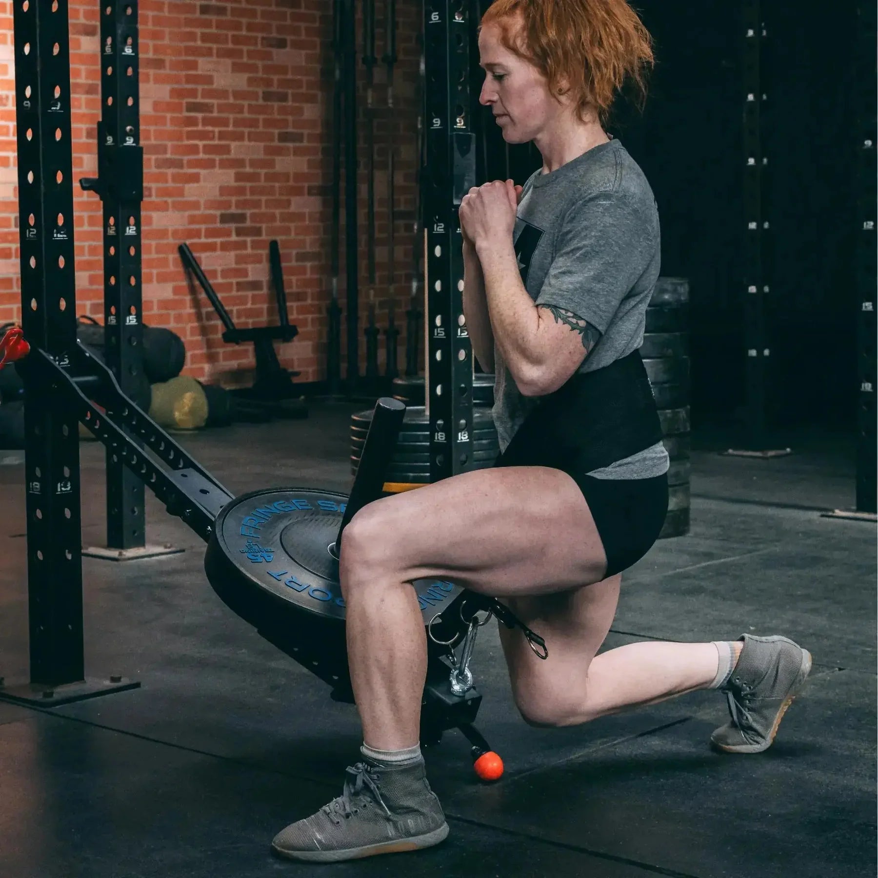 Fringe Sport Universal Belt Squat System | Mammoth Belt Squat Attachment (900 lb Capacity, Fits All Racks)