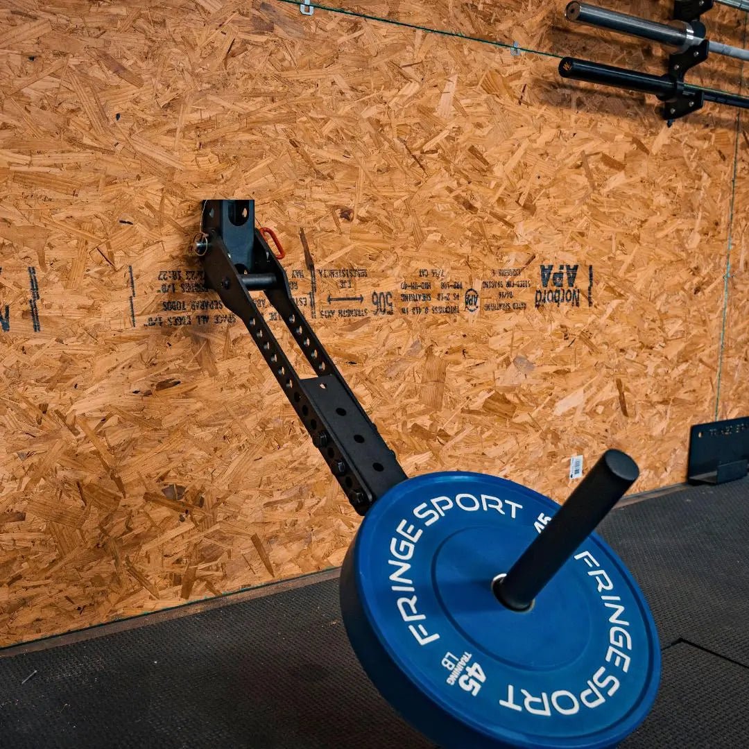 Fringe Sport Belt Squat Wall Mount | 3x3 Steel Upright for Universal Mammoth Belt Squat (Space - Saving Design)